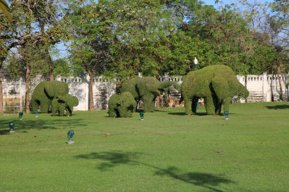 The elephant is the national animal and symbol of Thailand